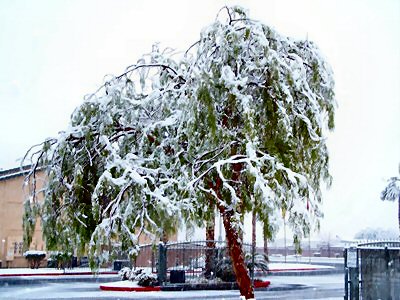 las vegas snow snowstorm december 2008