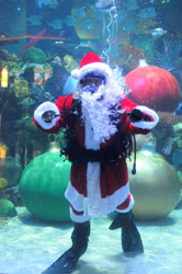 Santa In The Aquarium at Silverton Casino Lodge Las Vegas