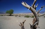death valley tour