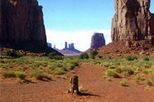 national park tour