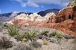 red rock canyon