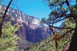 Zion National Park by Tour Trekker Experience